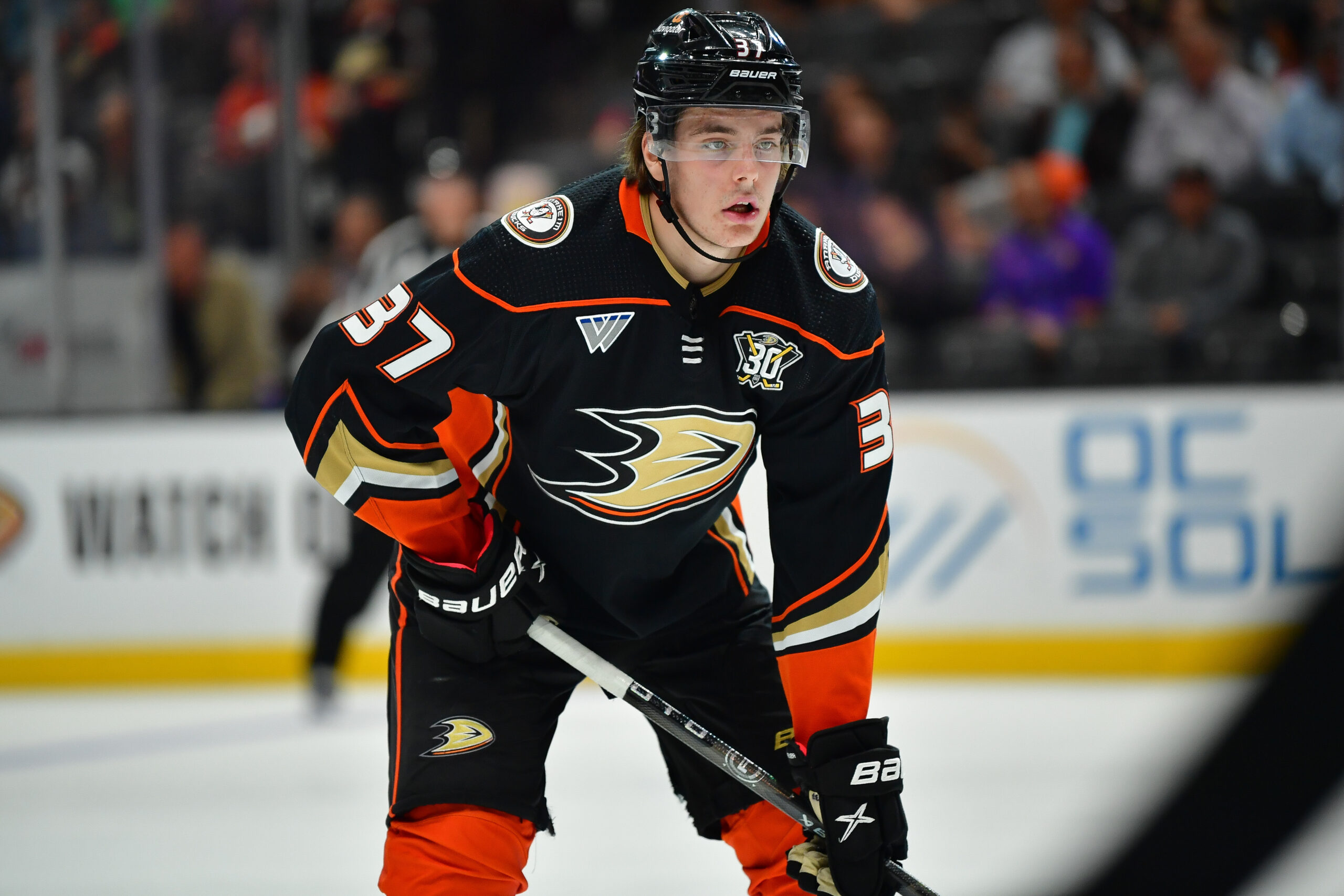 Ducks: Forecasting Terry's First Season of New Extension